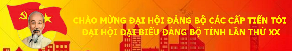 Chào mừng đại hội đảng bộ các cấp